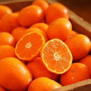 蔵出し晩生みかん（1月下旬～3月上旬）