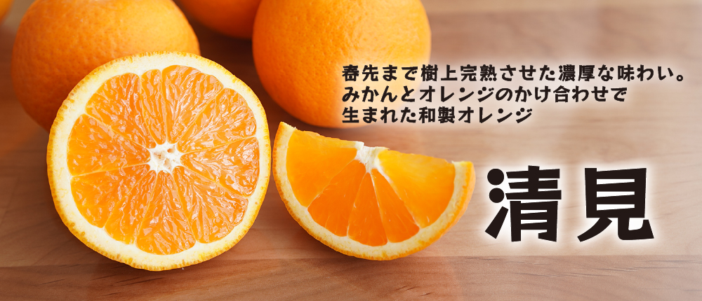清見オレンジの販売