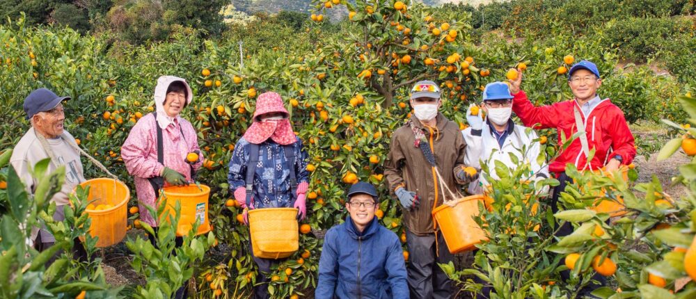 採用募集！和歌山で正社員としてみかん農業をしたいなら蔵出しみかんの藤原農園｜社会保険（厚生年金・健康・雇用）完備