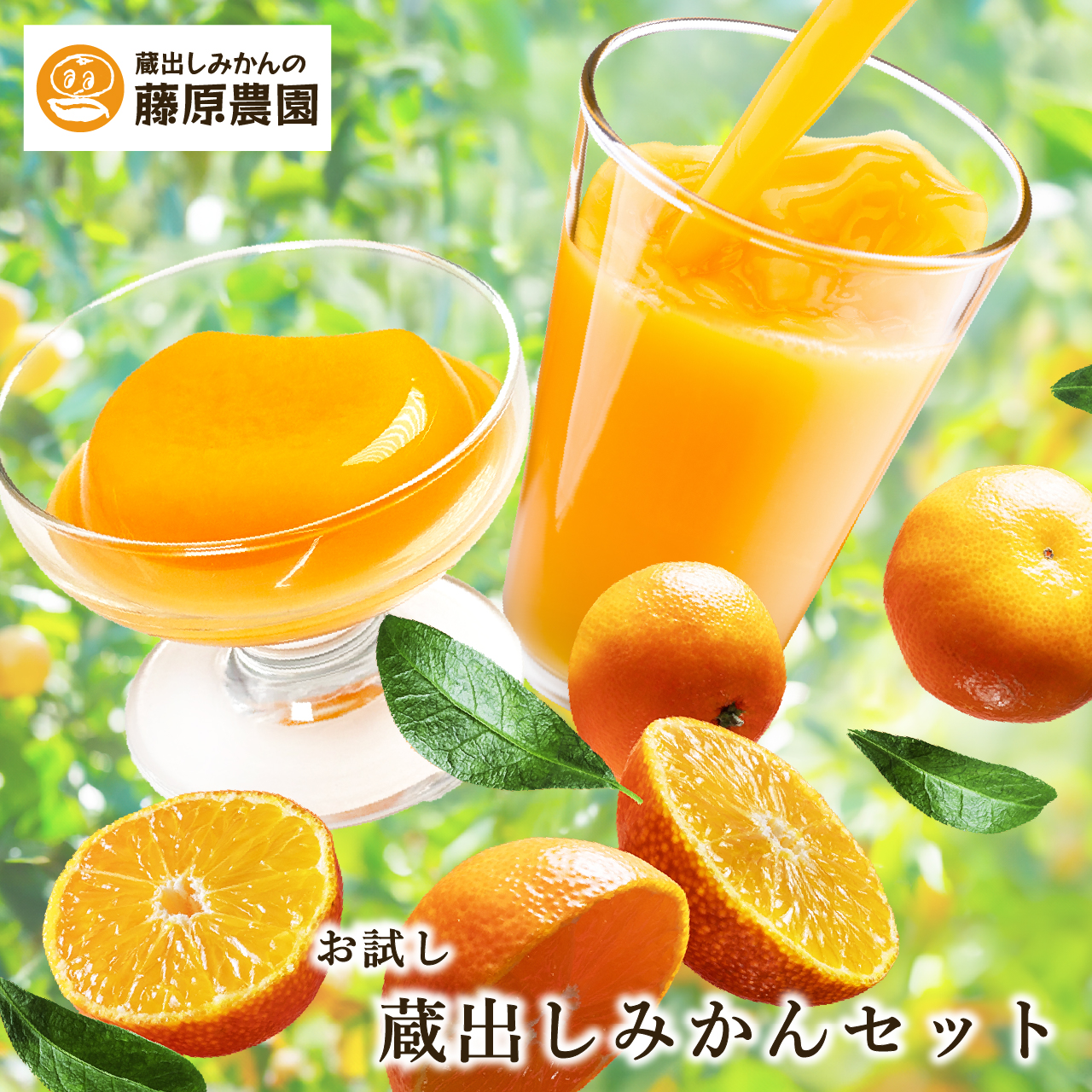蔵出しみかんセット｜ジュース、ゼリーの詰め合わせ。お試し