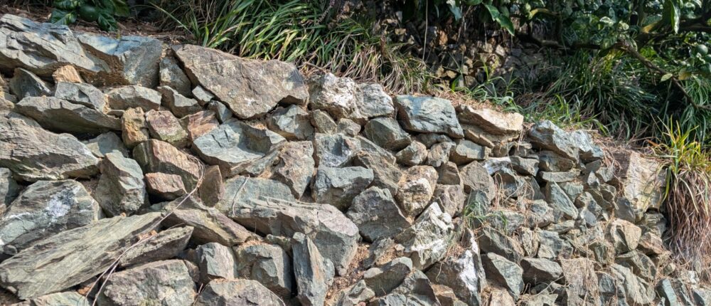 有田・下津地域の石積み階段園みかんシステムが世界農業遺産に認定されました！