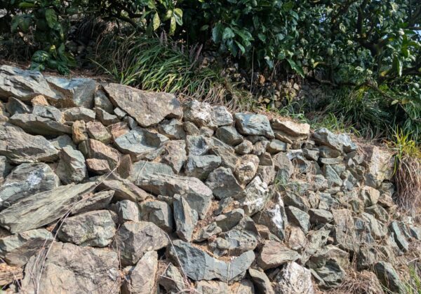 【動画付き】有田・下津地域の石積み階段園みかんシステムが世界農業遺産に認定されました!