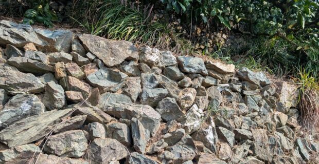 有田・下津地域の石積み階段園みかんシステムが世界農業遺産に認定されました！