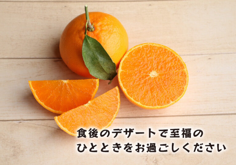 せとか|高級柑橘ならみかんの大トロとも呼ばれるせとか。甘くて濃厚です | 蔵出しみかんの藤原農園