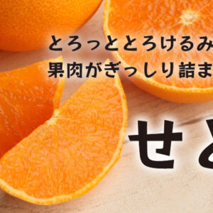 せとか｜高級柑橘ならみかんの大トロとも呼ばれるせとか。甘くて濃厚です