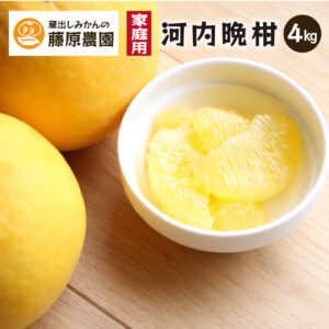 河内晩柑｜和歌山県海南市下津町産。果汁たっぷりジューシーな味わい