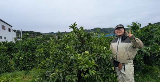 みかんの実成長中！ティーン農業女子橋本さんも成長中です！