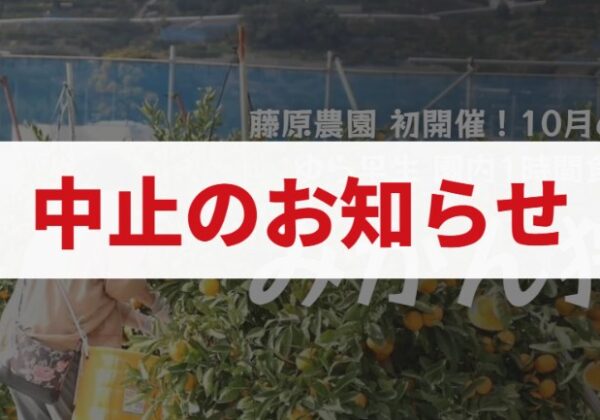 【中止のお知らせ】和歌山・海南市のみかん狩り2026年10月開催予定分