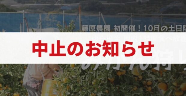 【中止のお知らせ】和歌山・海南市のみかん狩り2026年10月開催予定分