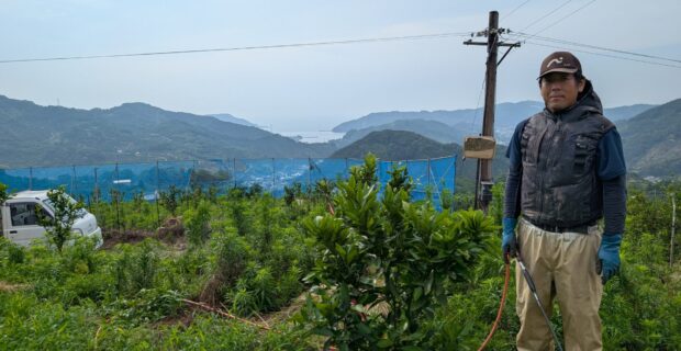 農場長塚田さんの園地管理～蔵出しみかん日記2026年７月編
